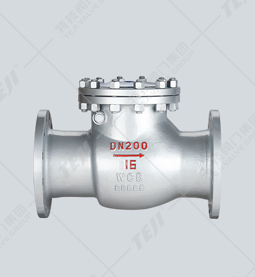 國標旋啟式止回閥