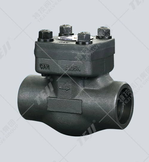 鍛鋼內螺紋、承插止回閥